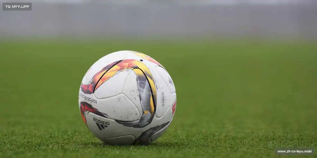 乐鱼官网官方网站——🥊拳力以赴!释放压力,格斗课程点燃你的斗志🔥